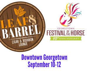 festival-horse-event